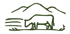 logoddd-Dec-19-2025-10-36-38-4070-PM